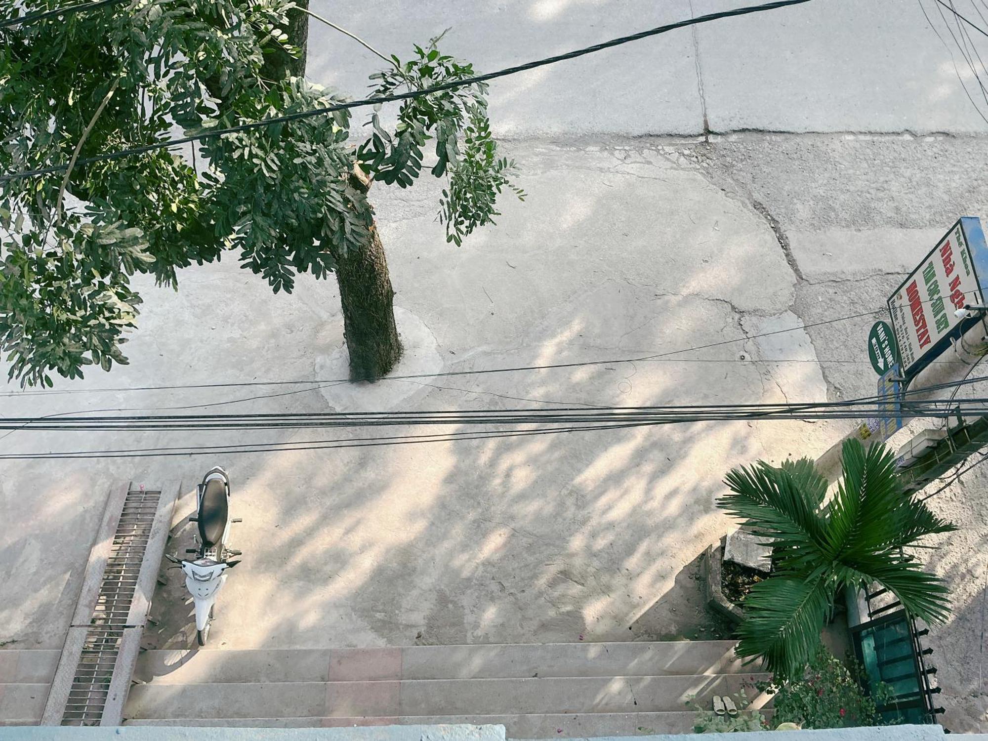 Tam Coc Sunset Homestay Ninh Binh Exterior foto